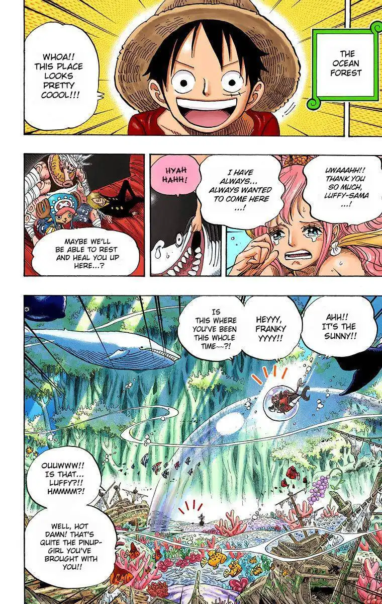 One Piece - Digital Colored Comics Chapter 619 17
